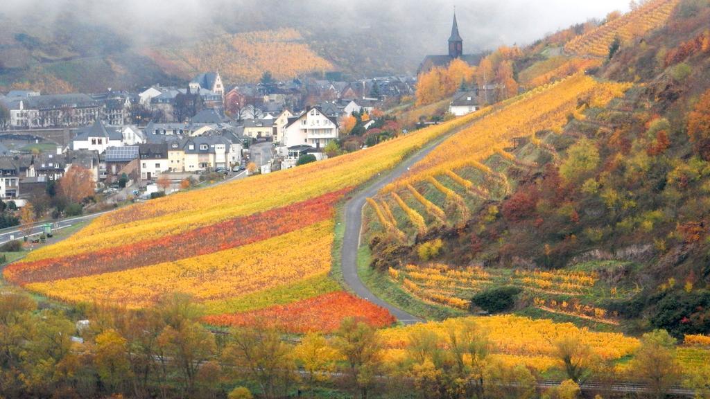 Apartment Happy Mosel コッヘム エクステリア 写真