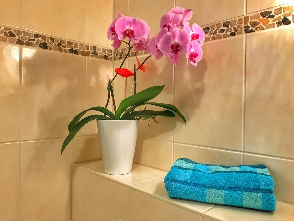Apartment Happy Mosel コッヘム エクステリア 写真
